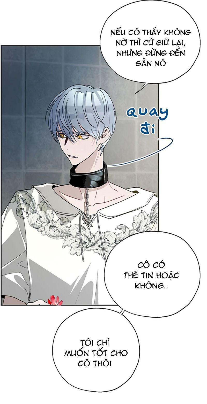 cách để cứu rỗi anh trai của nữ chính chapter 20 15