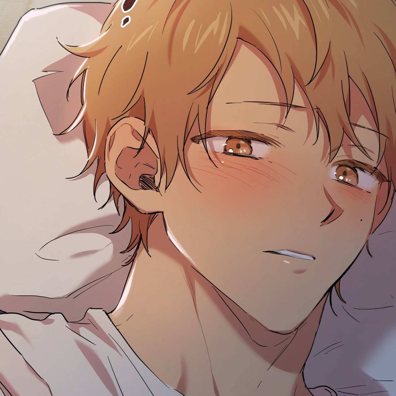 những chú thỏ của hapypy chapter 15 21