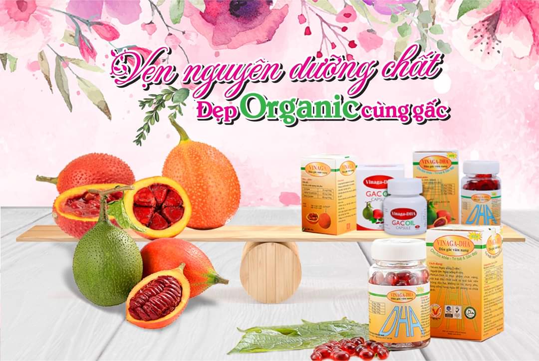 Dầu gấc (VINAGA-DHA-GACOIL CAPSUL)