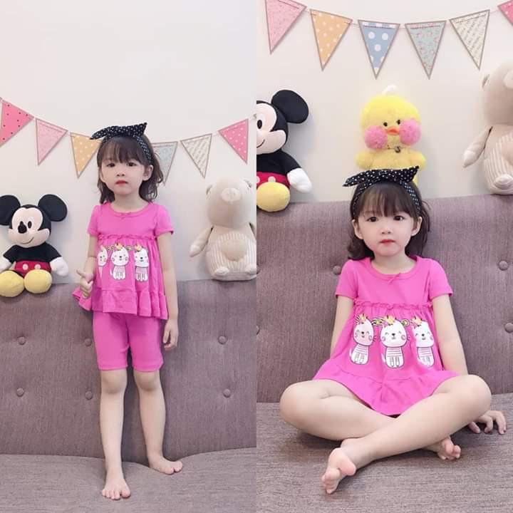 BÈO BOZIP SIÊU CƯNG