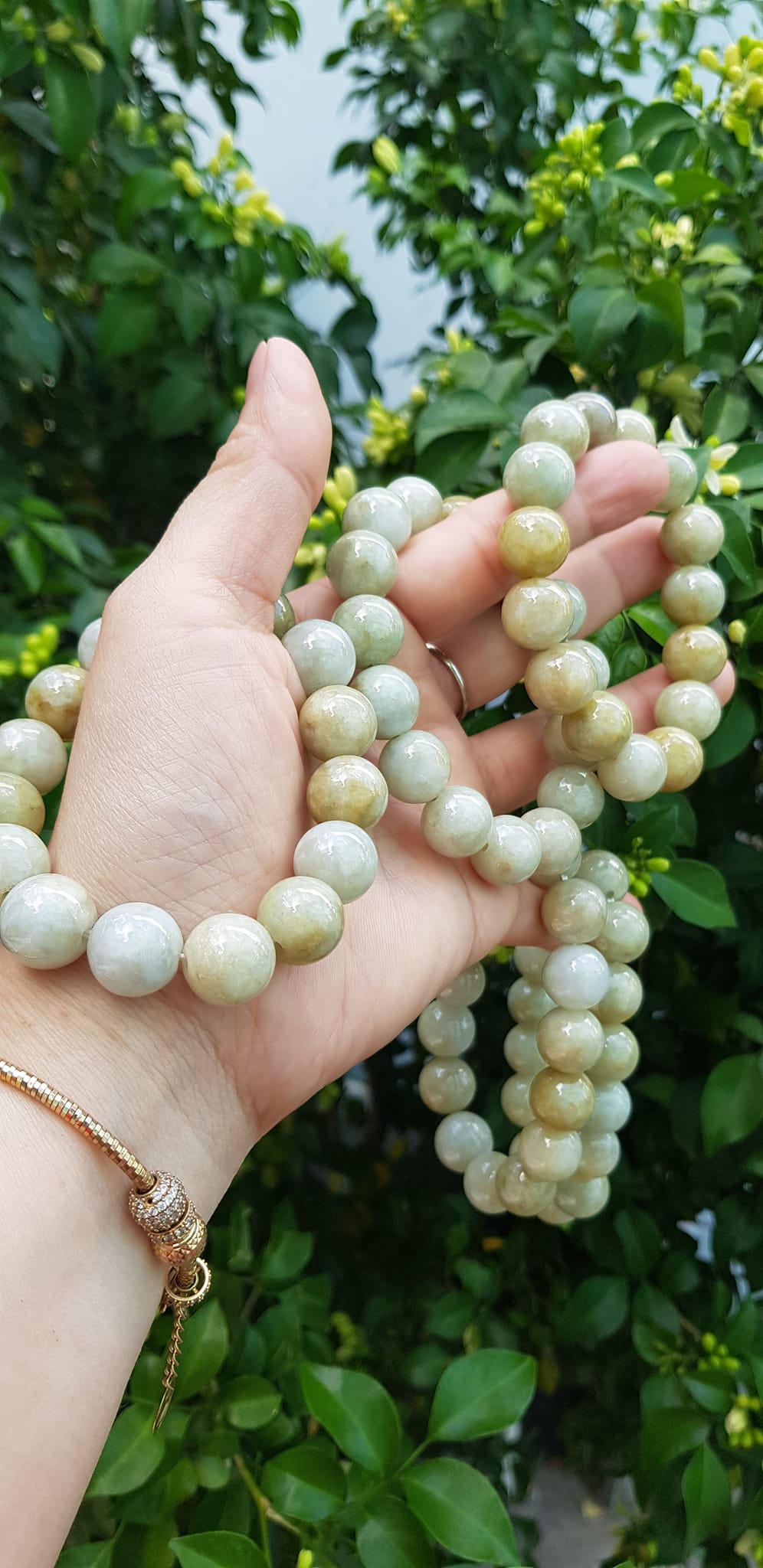 Vòng tay chuỗi nam nữ đá cẩm thạch tự nhiên trắng vàng bóng ngời Vòng size hạt 13mm Màu trắng vàng đất nhẹ bóng mượt thiệt đẹp ạ