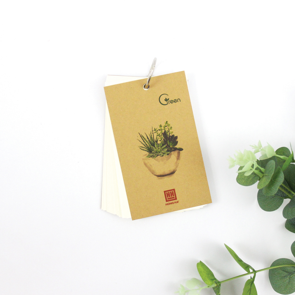 Sổ Flash card 200 trang Green Plant 4156 (10 quyển)