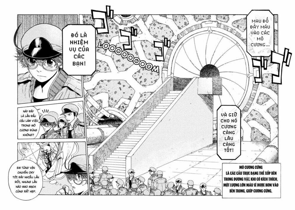 biệt đội tế bào black - hataraku saibou black chapter 3 4