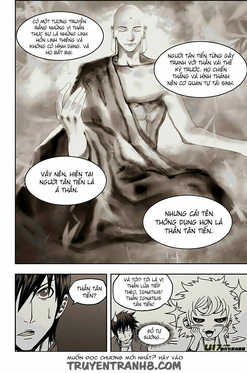 macrophage regulation chapter 9 10