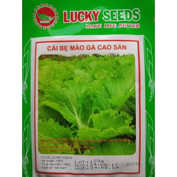 COMBO 2 gói hạt giống cải bẹ mào gà xanh