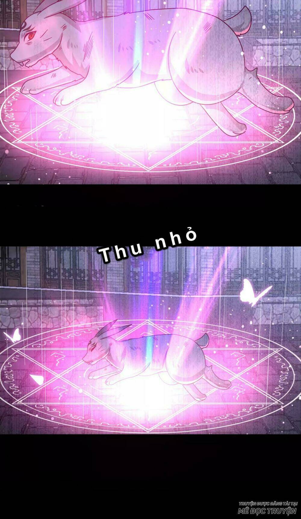 nữ hoàng thú sủng chapter 42 16