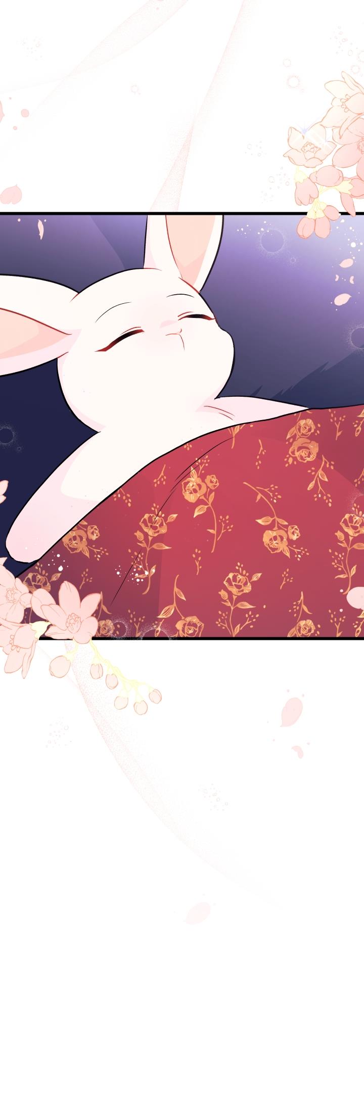 mối liên kết giữa báo đen và bé thỏ chapter 24 60