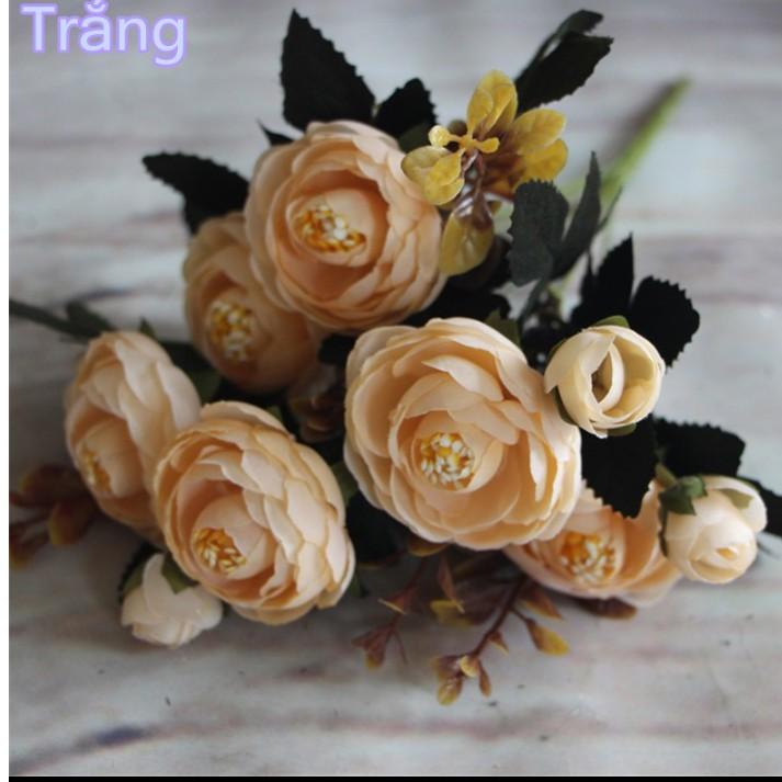 Hoa Giả - Hoa Trà Voan Loại Đẹp Tông Màu Chín