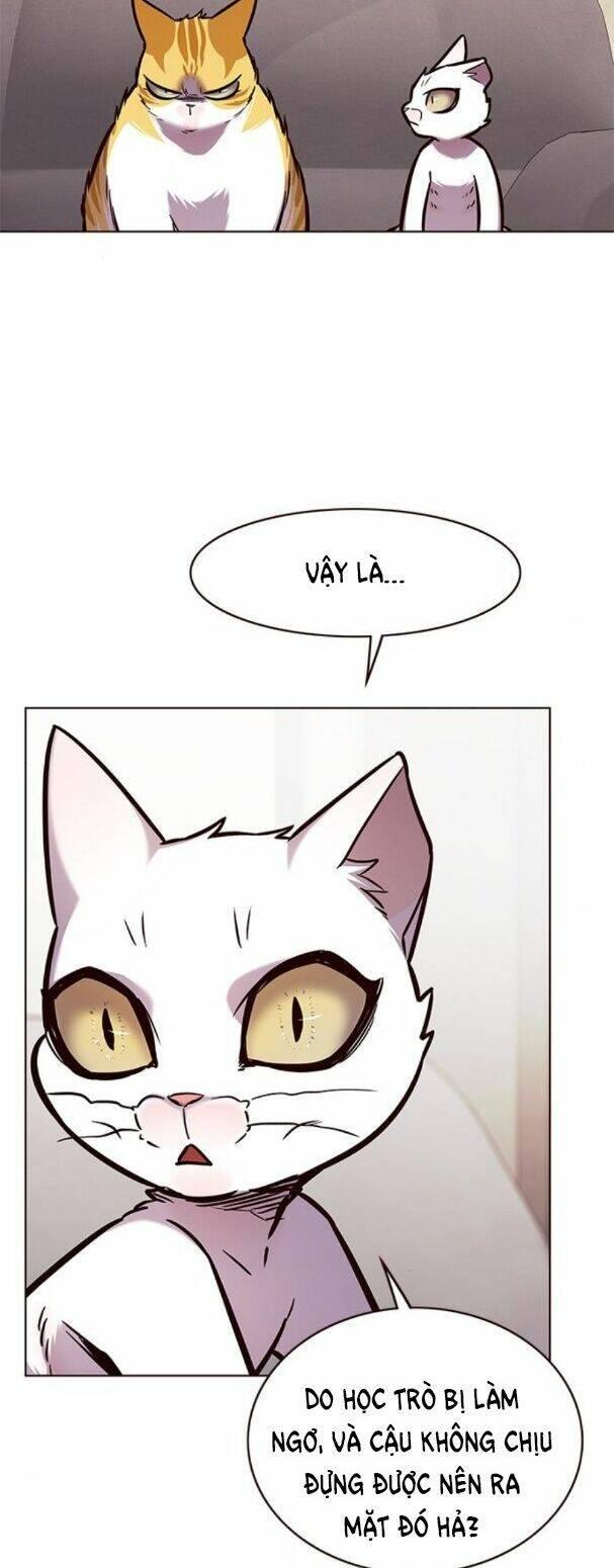 biến thân thành mèo chapter 173 36