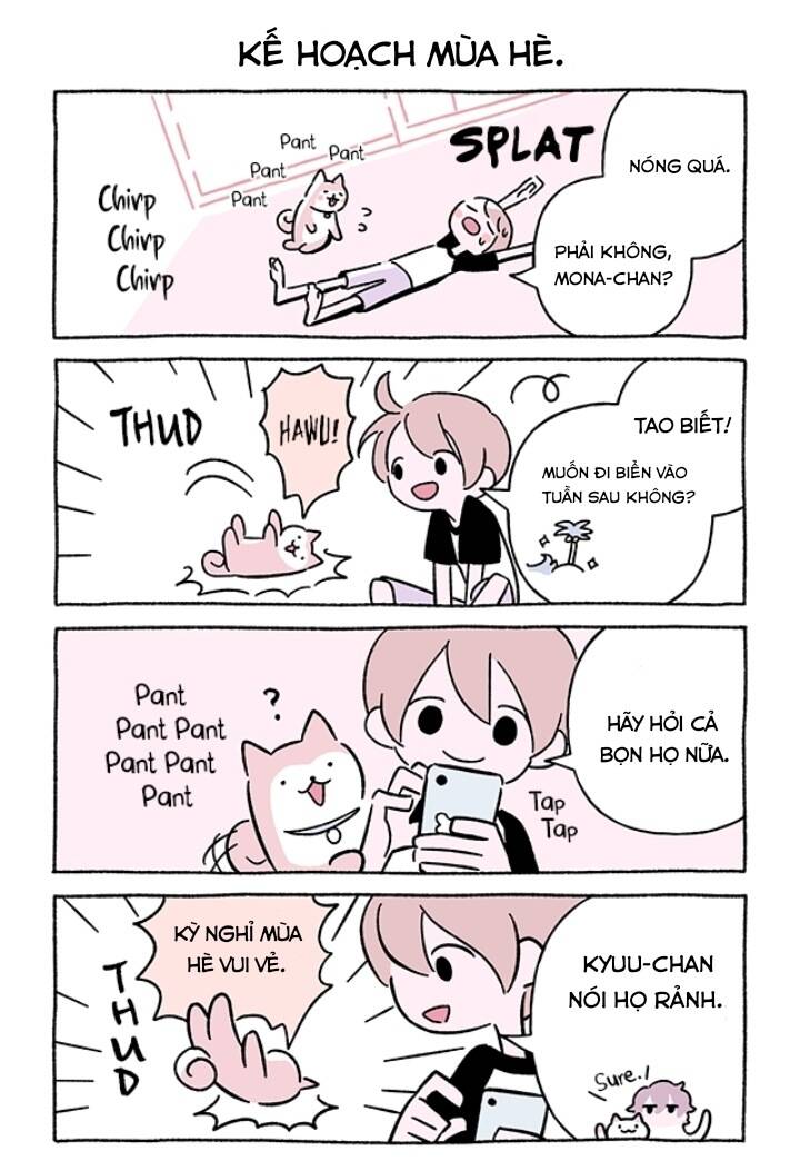 chú mèo kỳ diệu kyuu-chan chapter 717 3