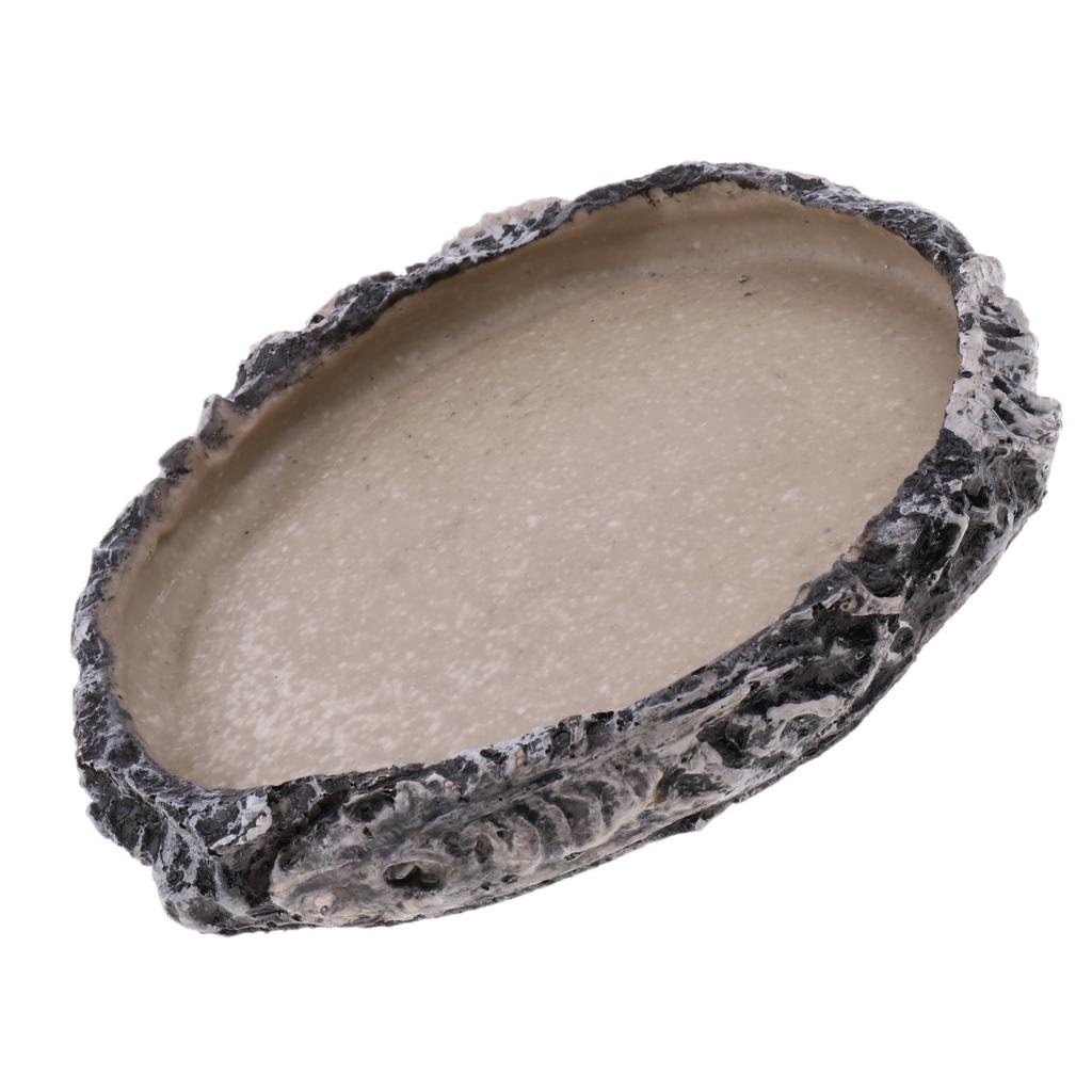 Reptile Vivarium Terrarium Feeding Bowl Tortoise lizard Gecko Tarantula Water Food Worm Feeder Basin Shaped