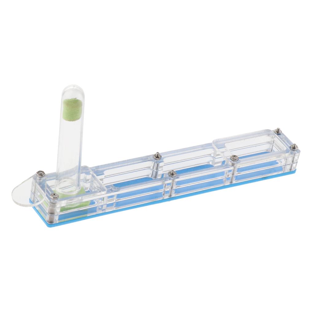 Ant Housing Box Experiment Toy Farm Insect Terrarium Pet Toys Fun Gift Clear