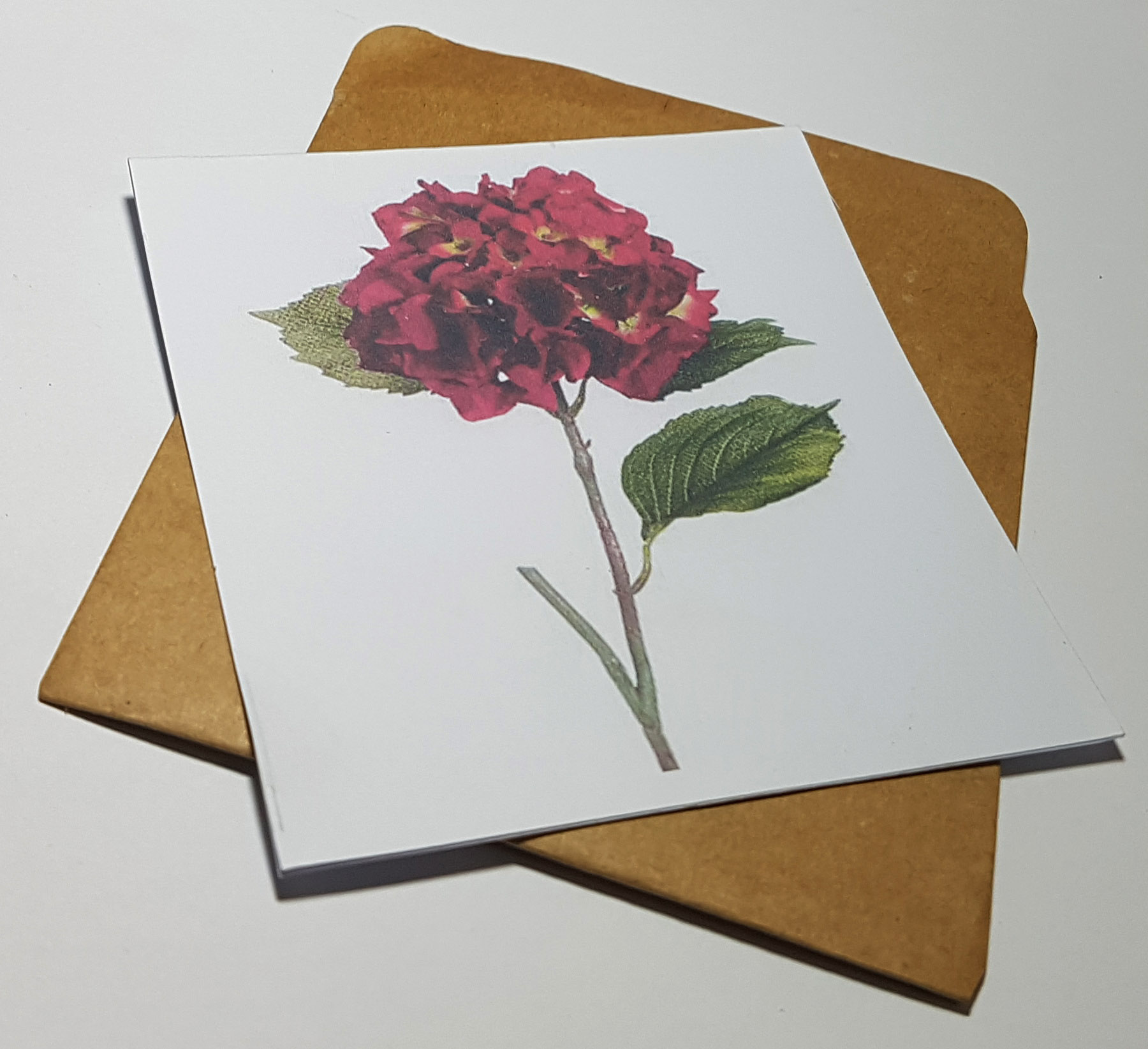 Thiệp phong cách Vintage card quà cám ơn ,chúc mừng sinh nhật và giử tặng người thân yêu.