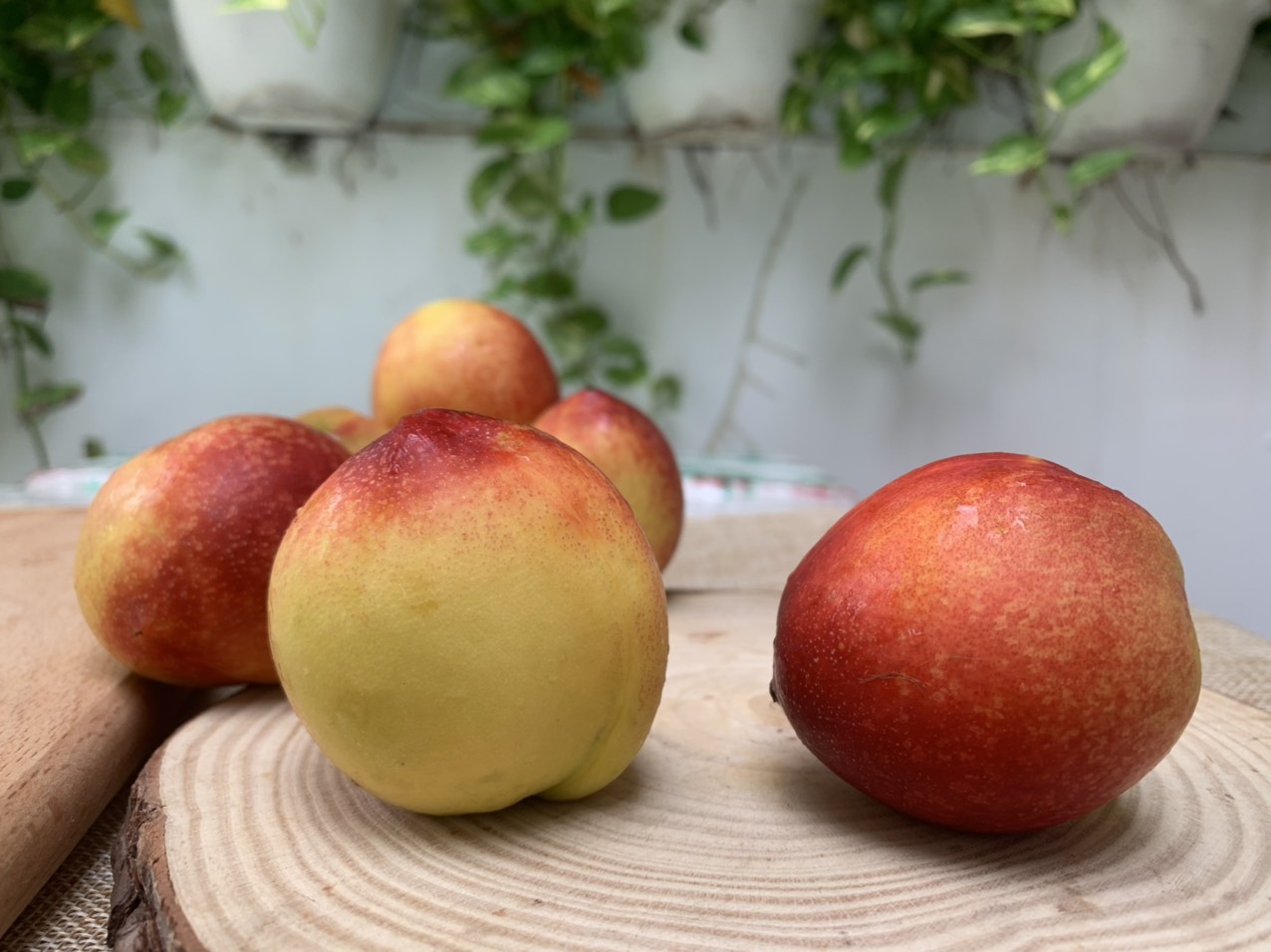 [ CHỈ GIAO HCM] Đào Láng Hà Nội- 1kg