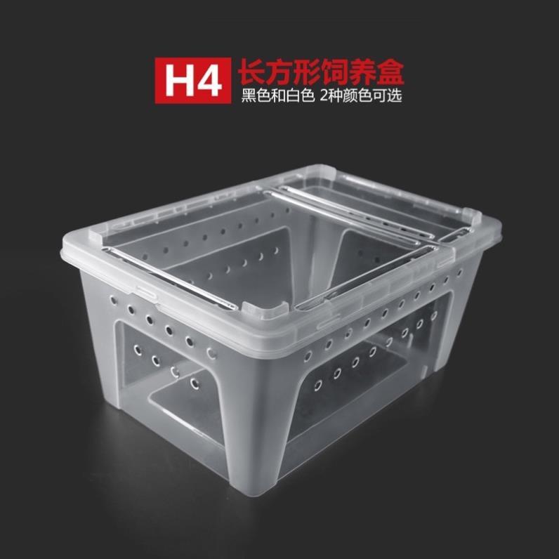 Hộp nuôi bò sát, hộp nuôi côn trùng, hộp nuôi thú cưng loại to H4 25.8x18.2x11cm petstore