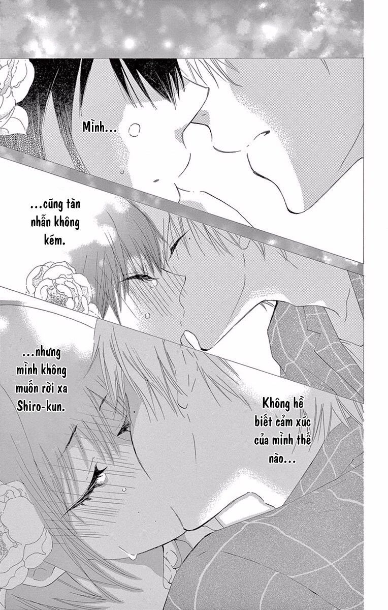 suteinu ni honey toast chapter 4 39