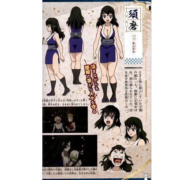 Demon Slayer: Kimetsu no Yaiba (TV Anime) Official Character's Book 5 (Japanese Edition)
