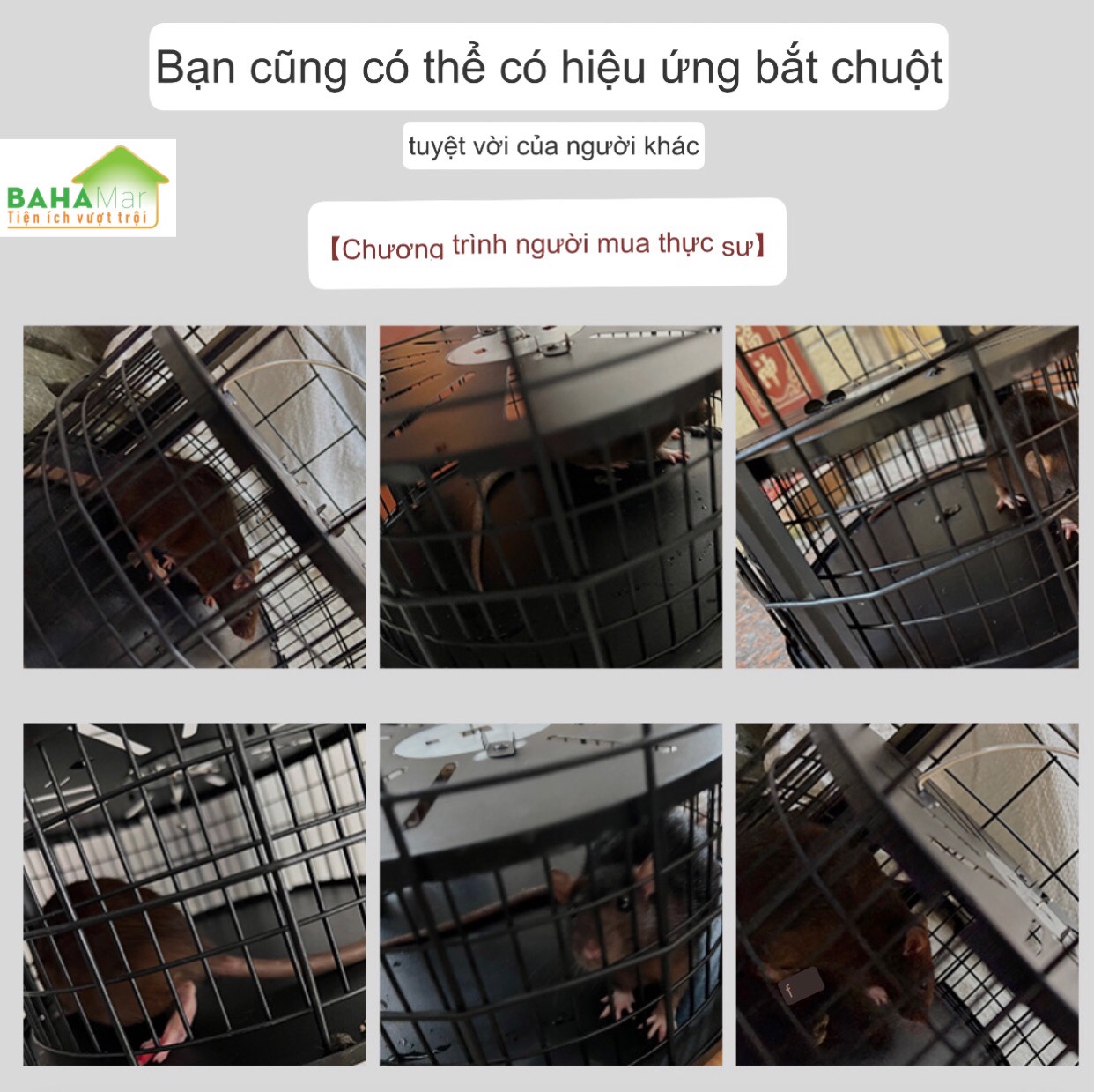 BẪY CHUỘT TỰ ĐỘNG KIỂU LỒNG CHIM, BẮT CHUỘT TOÀN DIỆN KHÔNG GÓC CHẾT "BAHAMAR" được cải thiện rất nhiều để loại bỏ sự rắc rối của những con chuột quá nhỏ trong lồng