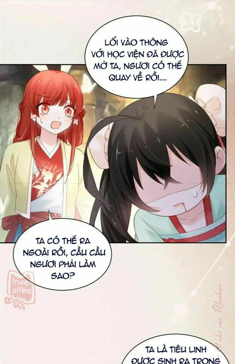 hắc hóa nam chính trực tuyến nuôi thỏ chapter 54 24