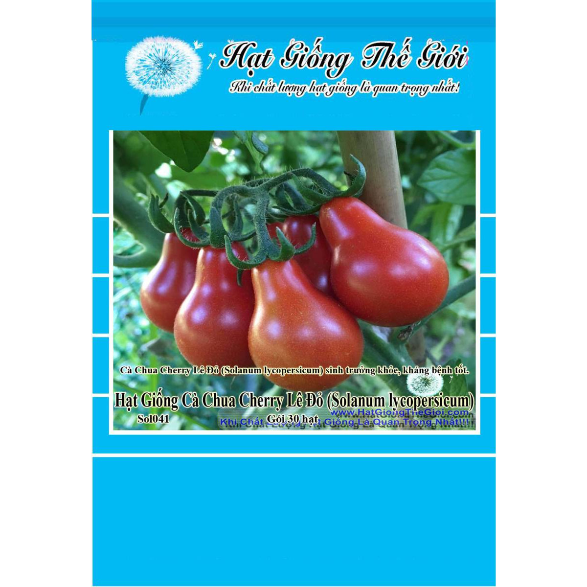 30h Hạt Giống Cà Chua Cherry Lê Đỏ