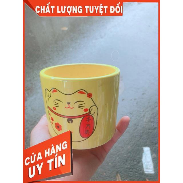 Chậu Trồng Cây