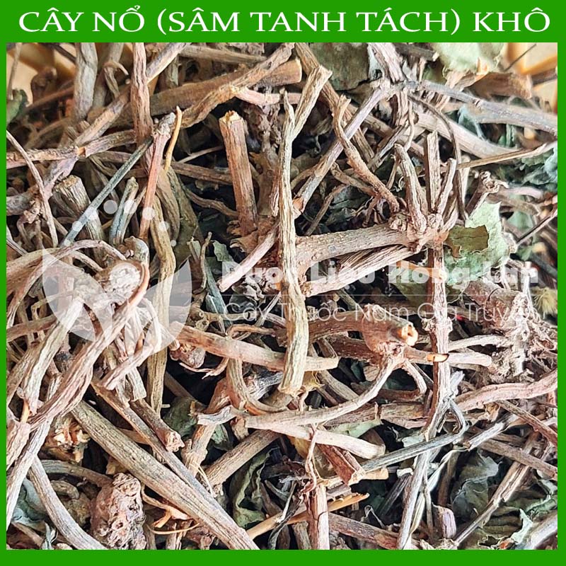 Cây Nổ khô sạch 500gram