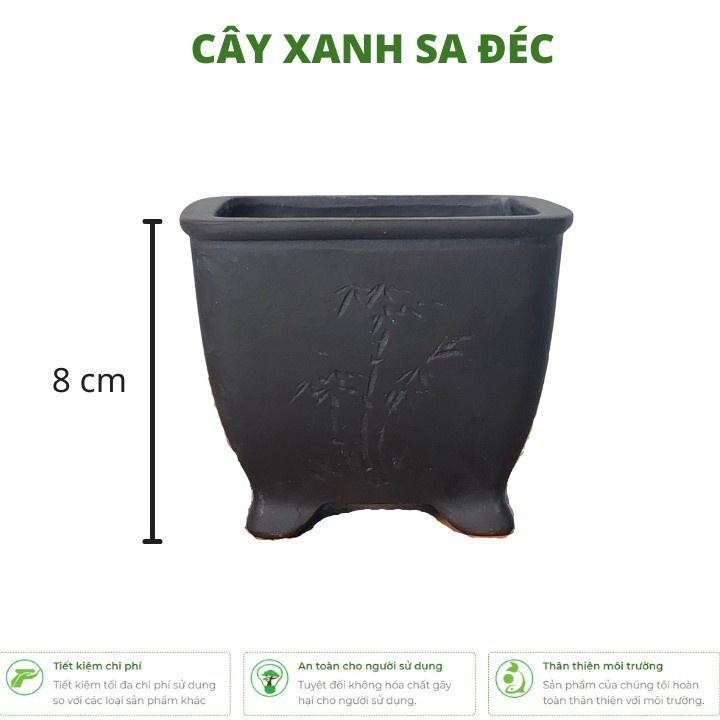 Chậu vuông mini hoa văn cành trúc CK6 để bàn, trang trí nội thất