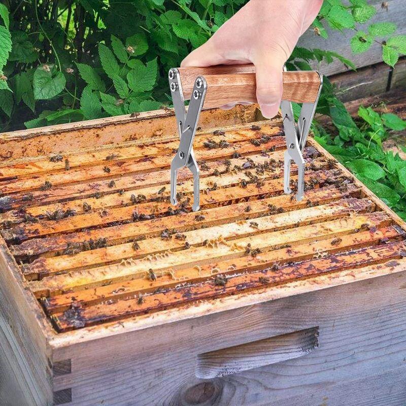 Xử lý kìm để nâng các khung hình ong tổ chức thiết bị nuôi ong cho người nuôi ong 12.812.2cm
