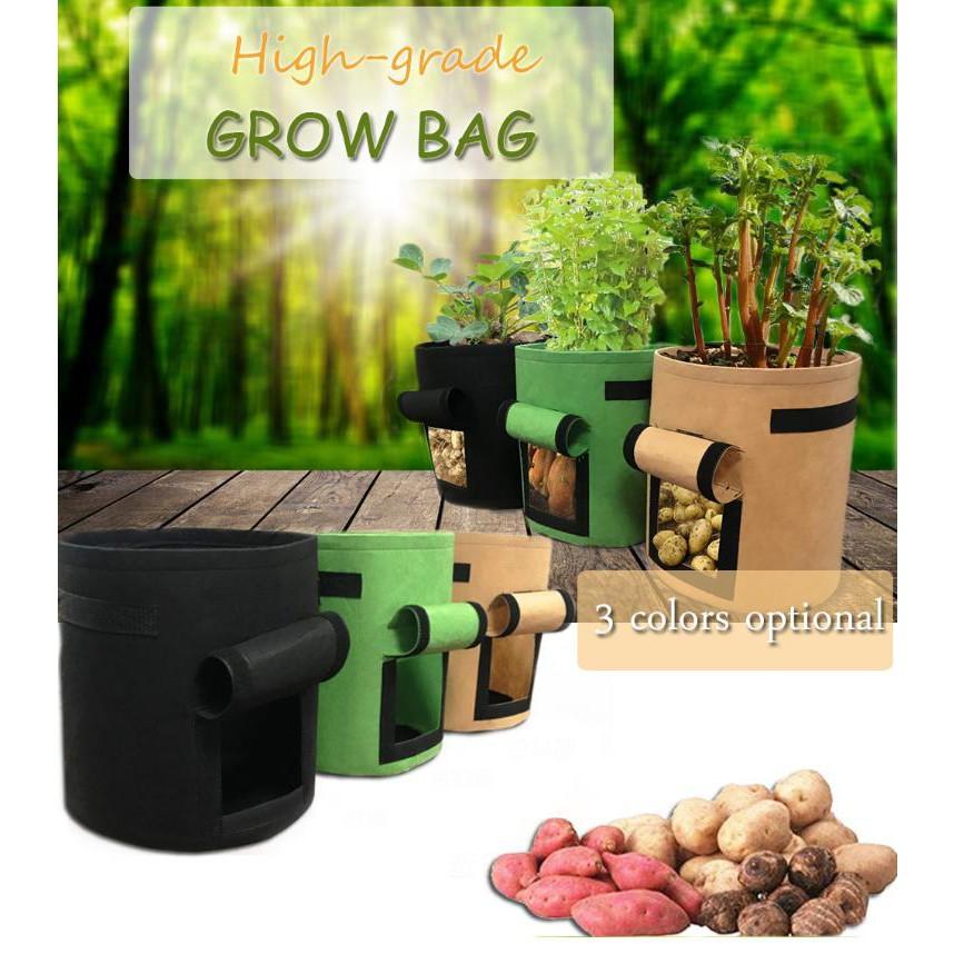 GROW GREEN BAG Chậu trồng cây, khoai củ vì môi trường 30x35cm  - Home and Garden