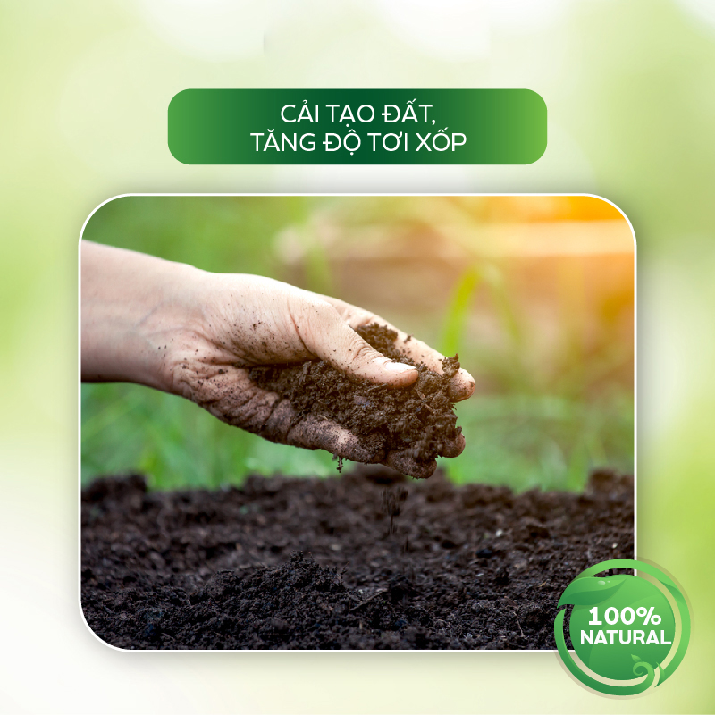 Chế Phẩm Trừ Nấm Bệnh Sinh Học Phổ Rộng Trị Bệnh Thối Rễ, Thối Thân, Nấm Quả, Thán Thư, Sương Mai- Vaccino Can 500ml