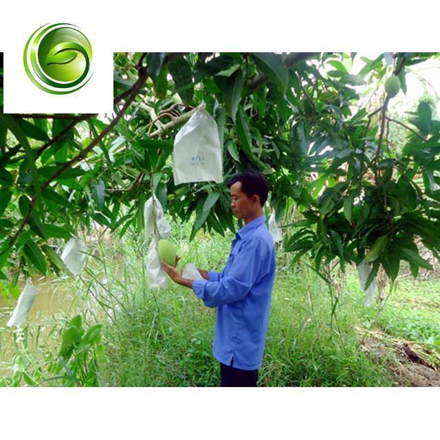 TÚI BỌC TRÁI CÂY BƠ, ỔI, XOÀI SÉT 100 TÚI CÓ DÂY RÚT 16x20CM
