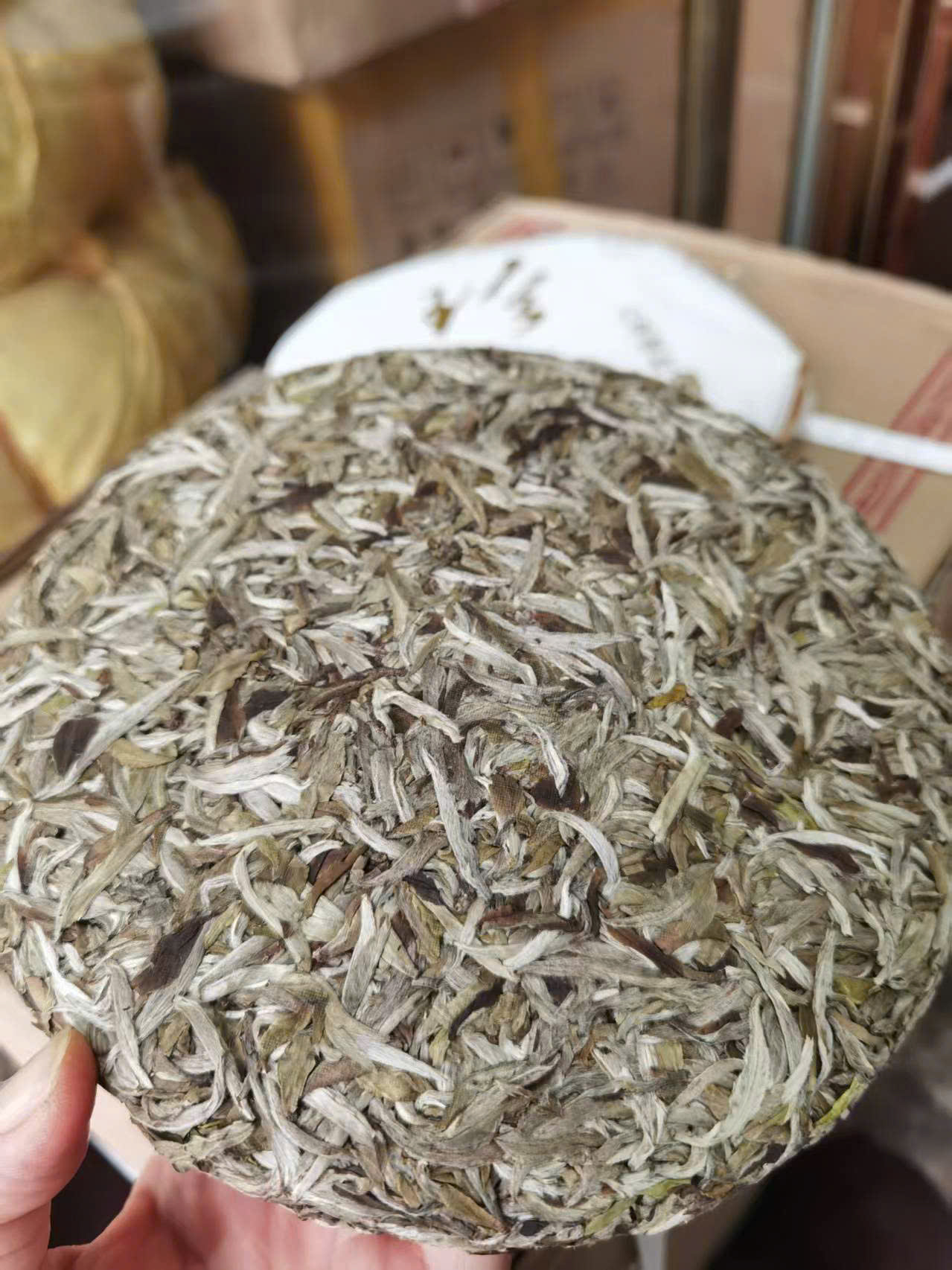 BÁNH TRÀ PHỔ NHĨ BẠCH TRÀ NGÂN CHÂM PHÚC ĐỈNH - 300G - TRÀ NGON LÂU NĂM - WHITE PUERH TEA - SHENG PUERH
