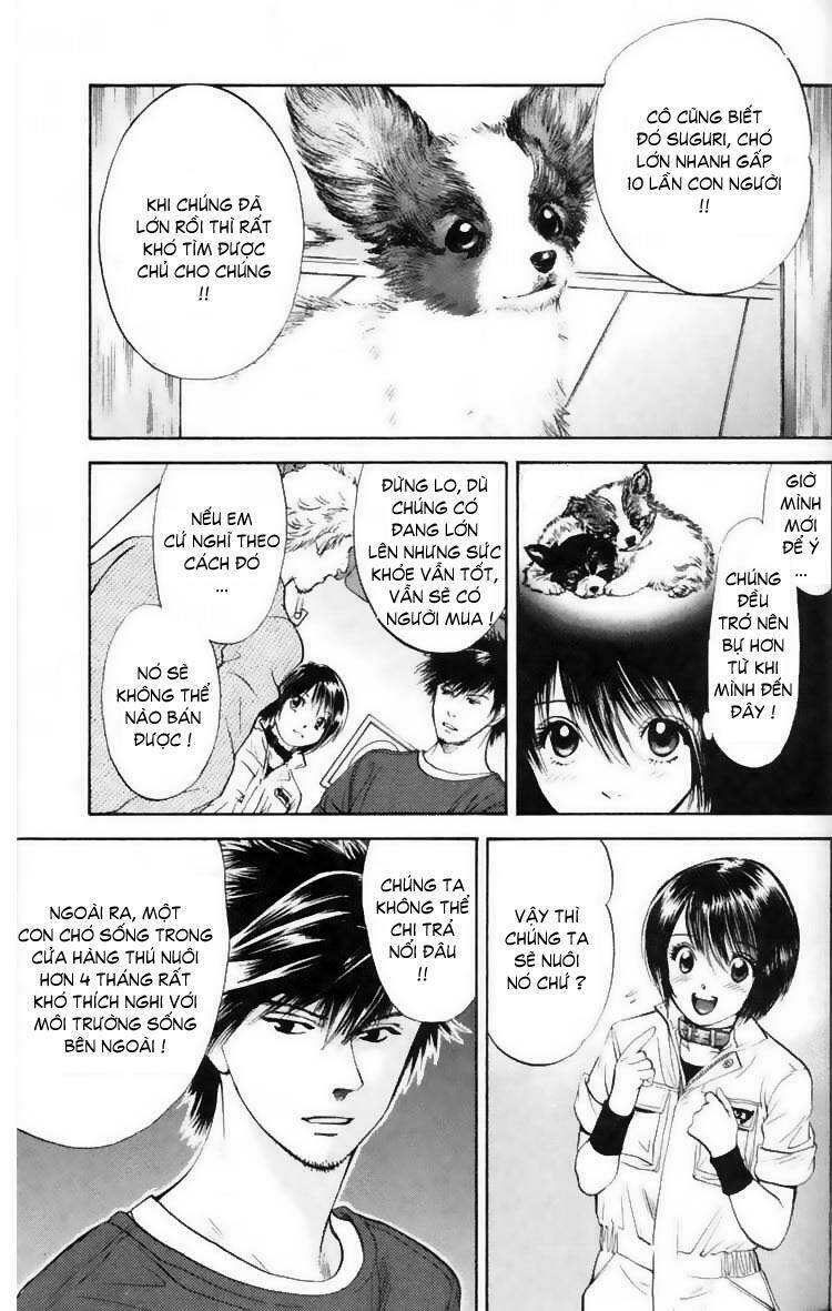 cô nàng yêu chó chapter 11 18