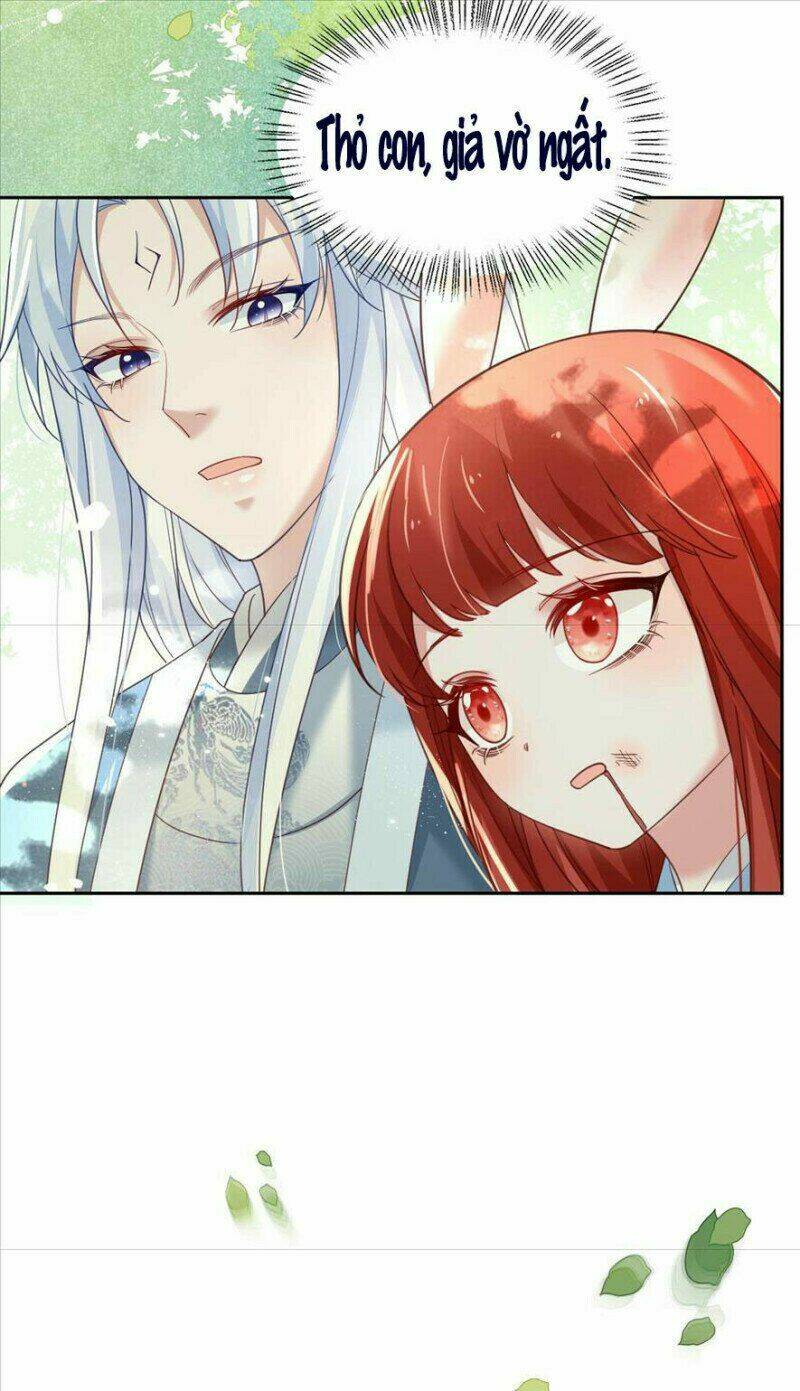 hắc hóa nam chính trực tuyến nuôi thỏ chapter 67 33