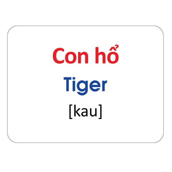 Hộp Flash card Theo phương pháp giáo dục sớm của Glenn Doman – Thẻ học thông minh (song ngữ Anh Việt) 20 chủ đề 315 thẻ