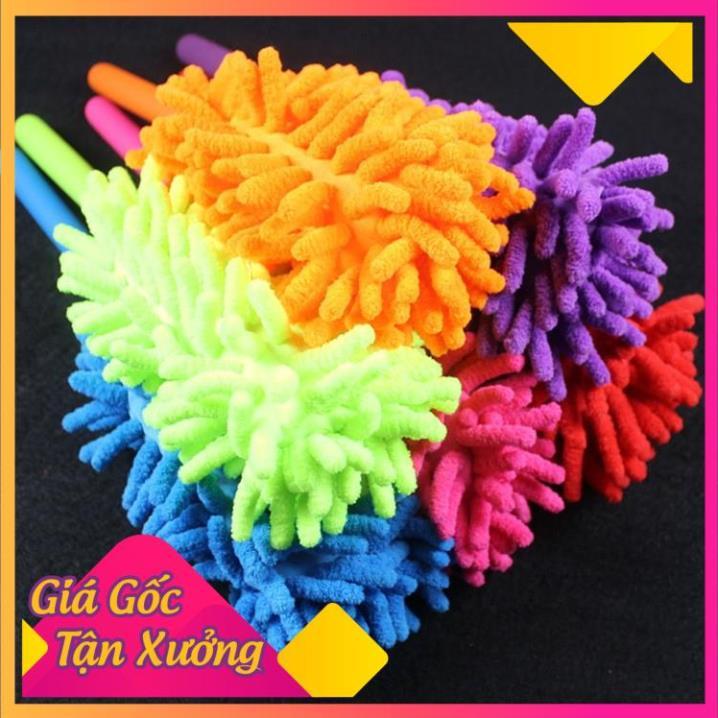 Cây Lau Bụi Mini San Hô Kéo Dài TP'S