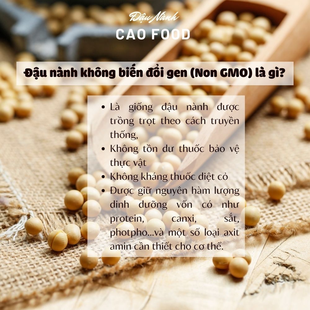 Đậu Nành Đaklak - Hạt nhỏ không biến đổi gen dân trồng dùng nấu sữa/ngũ cốc