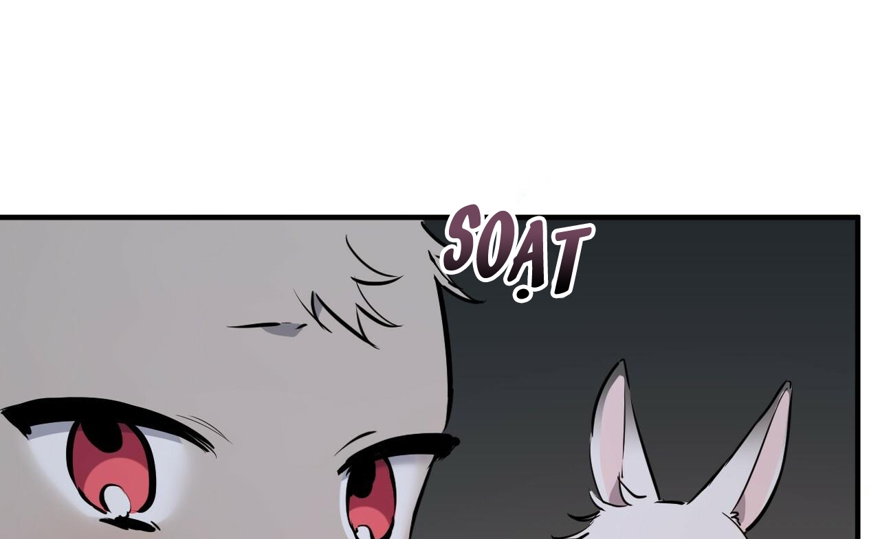 đàn thỏ của habibi chapter 46 62