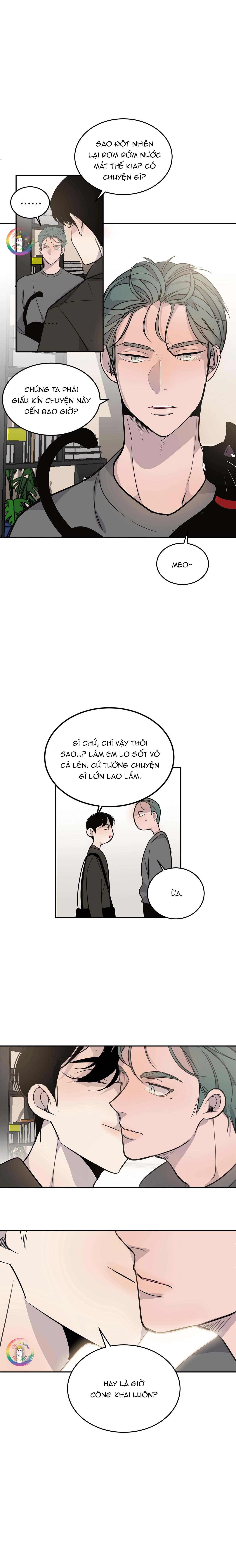 sao notp lại thành thật rồi? chapter 4 7