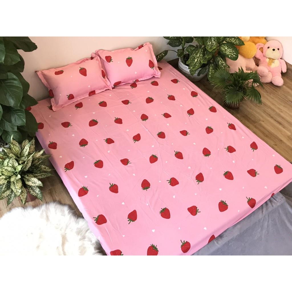 Bộ ga gối poly cotton