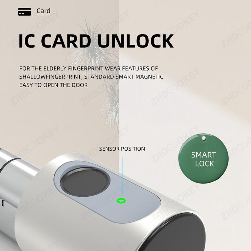 Trụ Khóa Thông Minh Tuya Bluetooth Châu Âu Sinh Trắc Học Vân Tay Thẻ RFID Chìa Khóa Ứng Dụng DIY Có Thể Điều Chỉnh Kích Thước Lõi Khóa Cửa Điện Tử