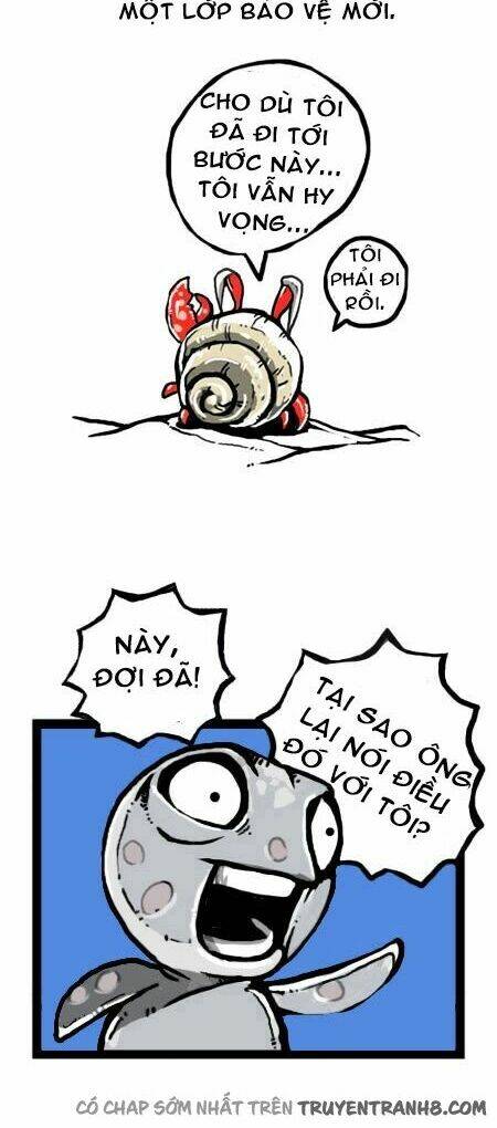 earth, human, and animal chapter 17 16