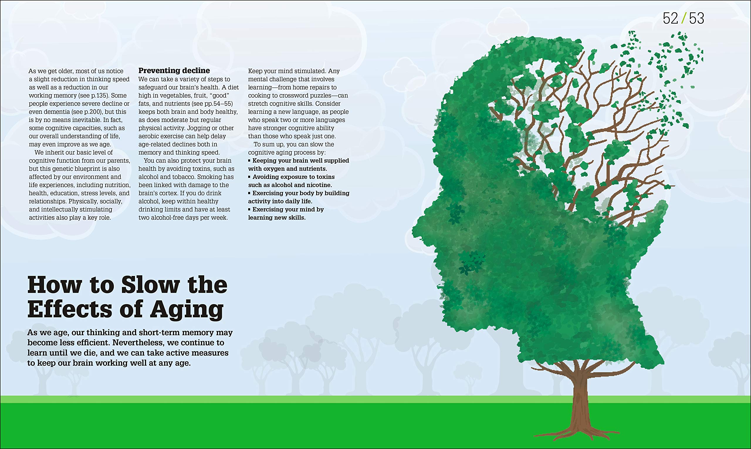 How The Brain Works: The Facts Visually Explained (How Things Work)