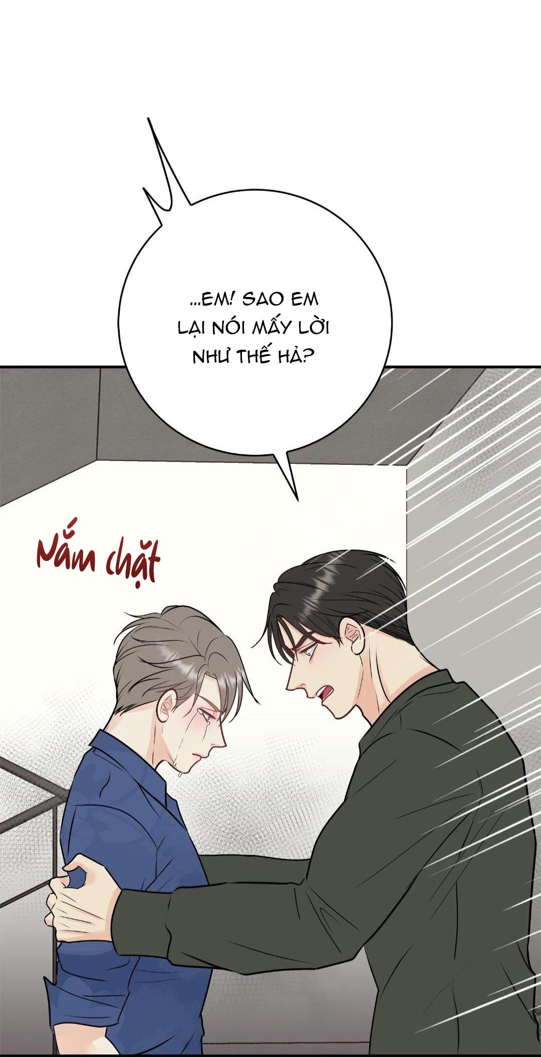 hạnh phúc trọn vẹn chapter 25 36