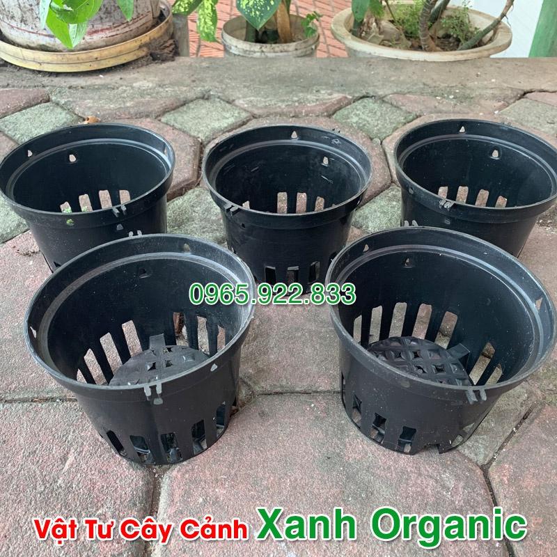 Chậu nhựa trồng lan màu đen Phi 16cm