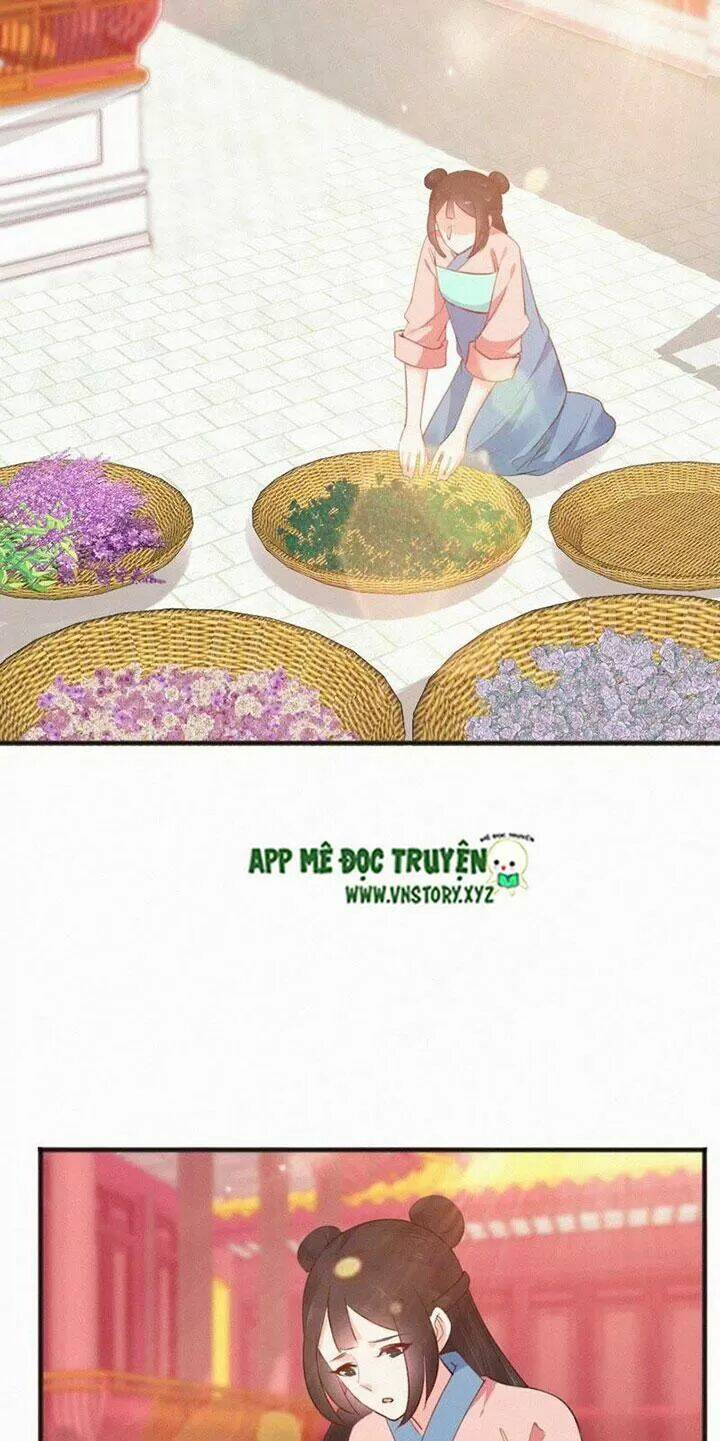 thiên hương mỹ nhân chapter 65 19