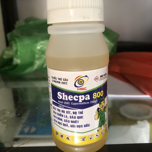 05 lọ Thuốc Trừ Sâu CYMERIN 25EC Shecpa 800 Đặc Trị Sâu Cuốn Lá, Sâu Que, Sâu Róm, Sâu Nhớt