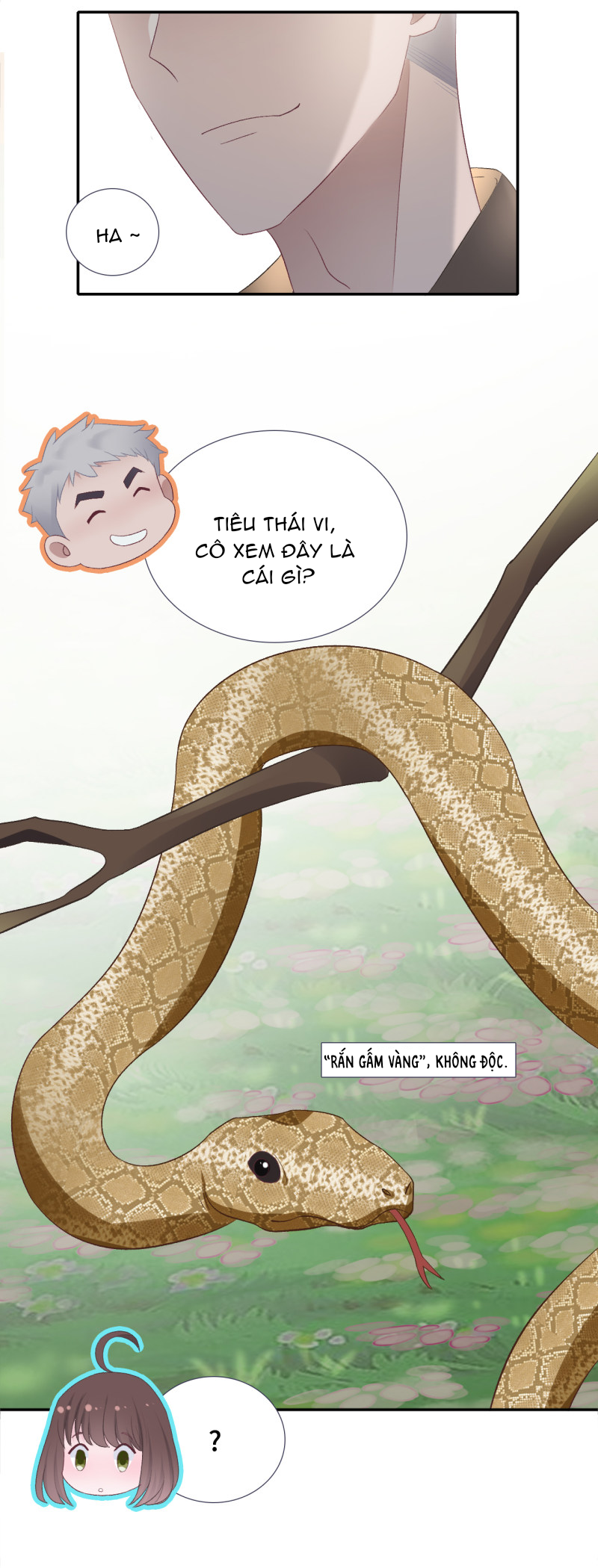 cái thùng cơm sát vách chapter 49 2