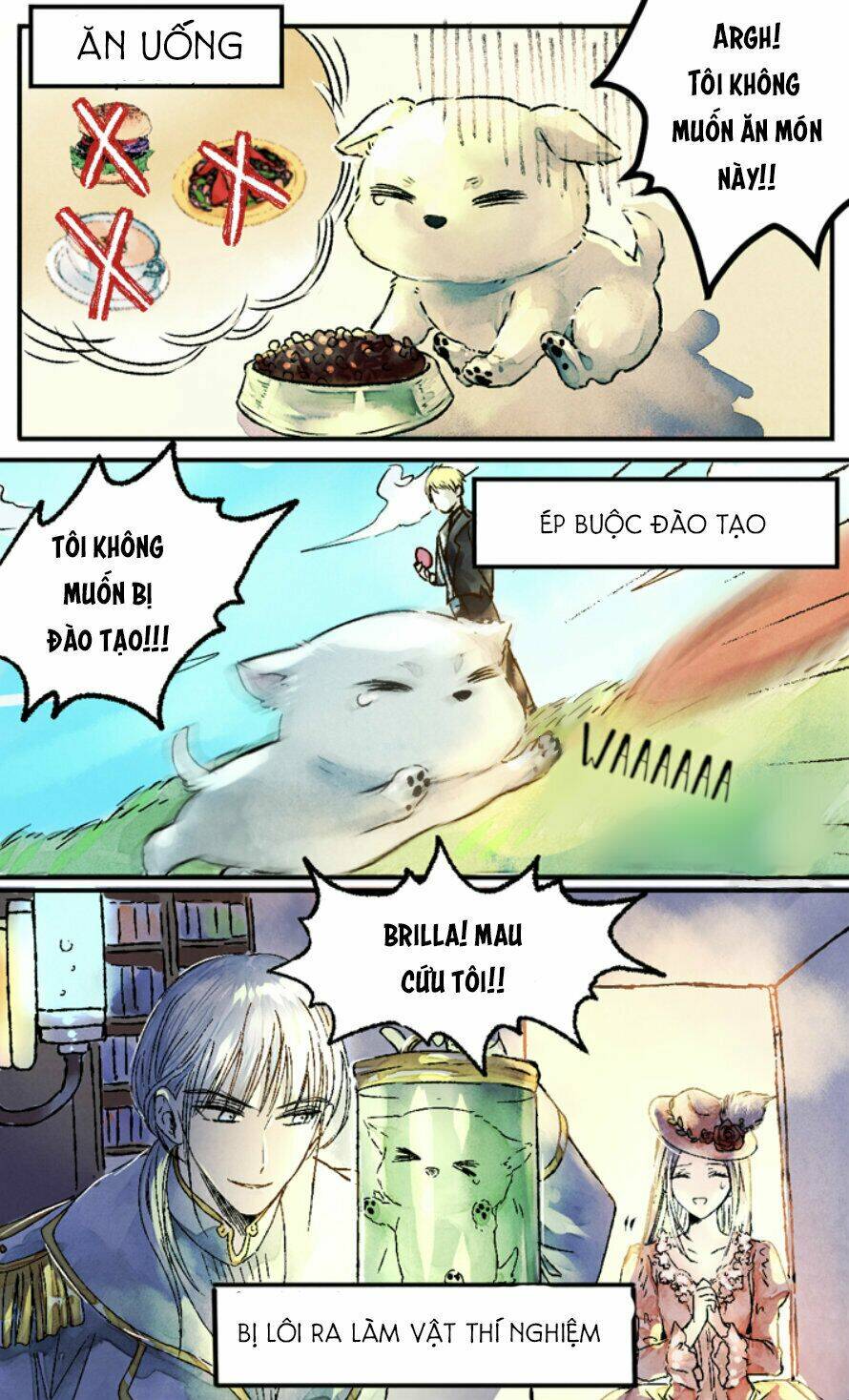 cún con đáng yêu của vị hoàng đế! chapter 0 21