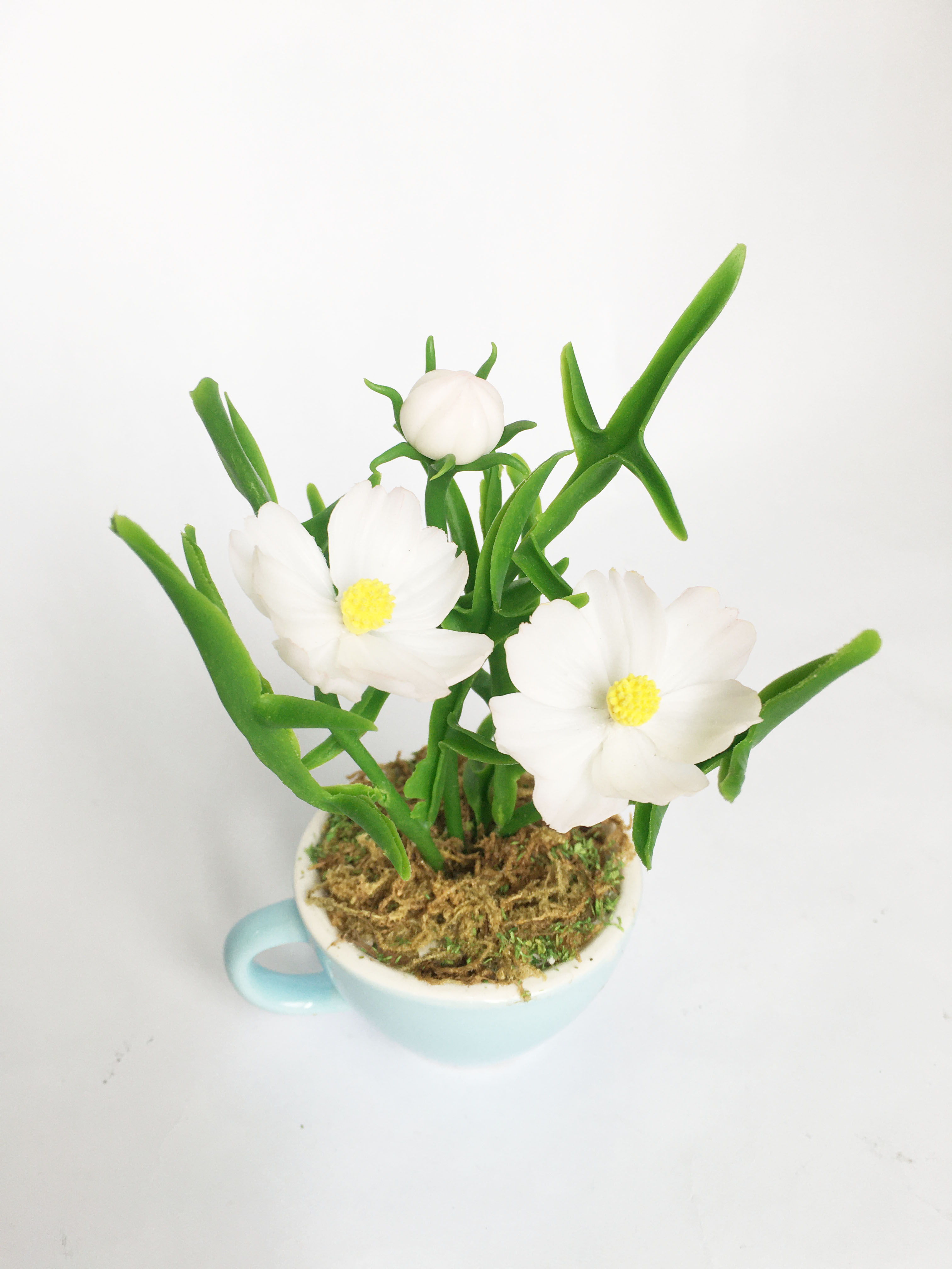 Chậu hoa đất sét mini- Bụi sao nhái trong cốc - Quà tặng trang trí handmade